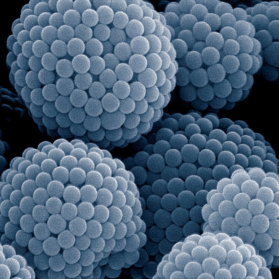 nano